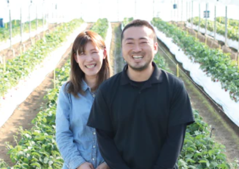 園村苺園｜一粒の苺が、幸せを育む。とことん“おいしい苺”を育てるため