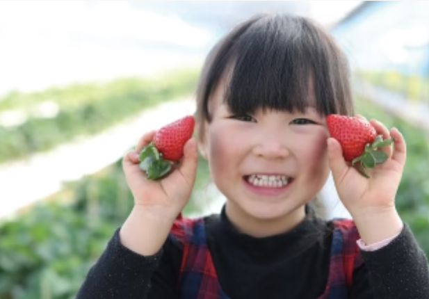 福利厚生・制度について